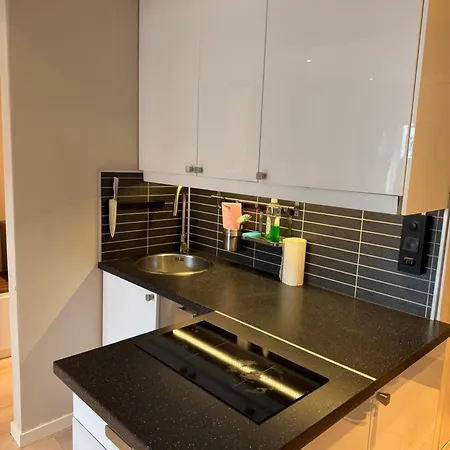 Stilren Og Sentral Byleilighet Med Balkong! Appartement Oslo